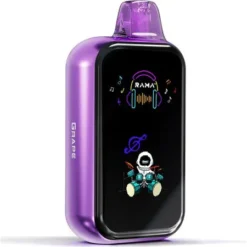 Rama Vape 16000 Puffs Blueberry Mint